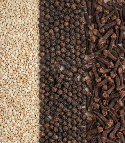 especiarias-zafra-export
